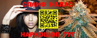 гашик Янаул