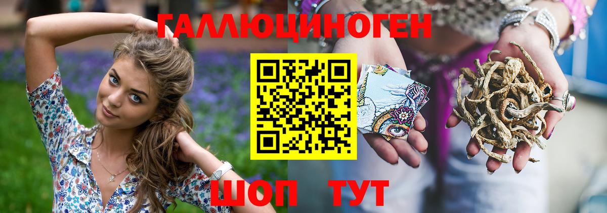 Сосновый Бор  Псилоцибиновые грибы мицелий  Псилоцибиновые грибы прущие грибы  Вход с VPN 